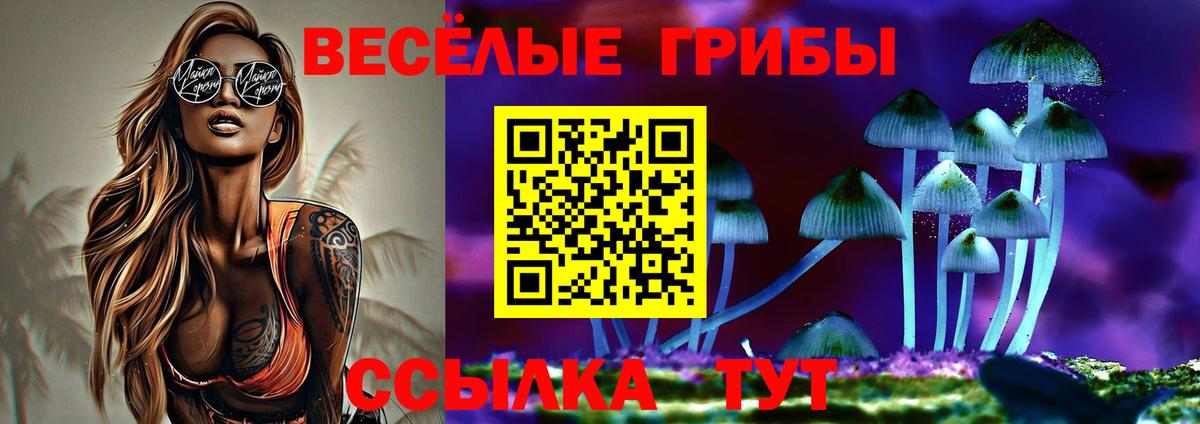 Галлюциногенные грибы прущие грибы Карачаевск